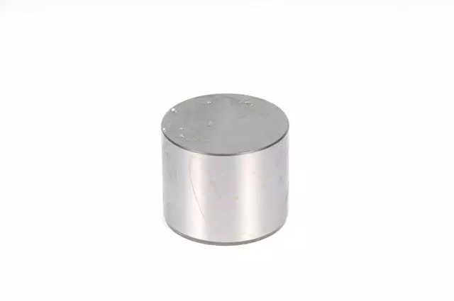 Engine Hydraulic Valve Adjuster/Valve Lifter - GM (94858940)