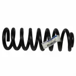 1997-2024 Ford - Coil Spring