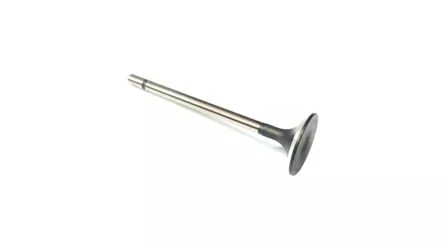 Exhaust Valve