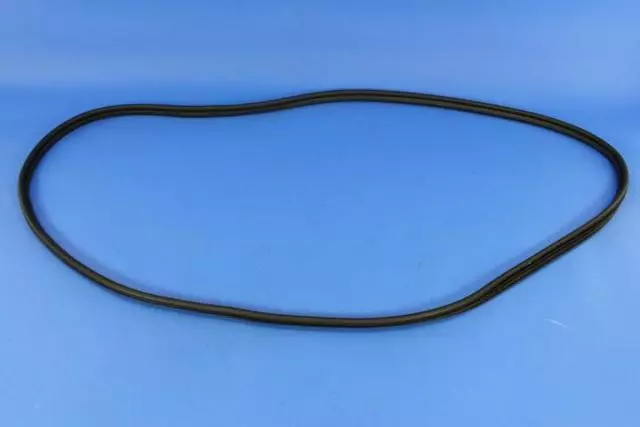 Front Door Opening Weatherstrip, Left