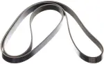 Serpentine Belt