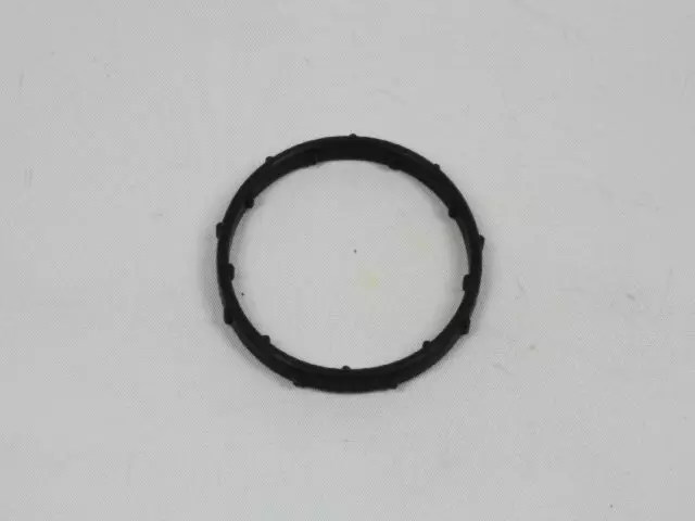 Thermostat Seal