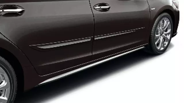 Body Side Molding - Majestic Black Pearl