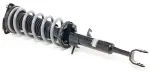 Value Advantage™ COMPLETE STRUT ASSY WITH SPRING / MT, LH