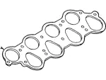 Manifold Gasket