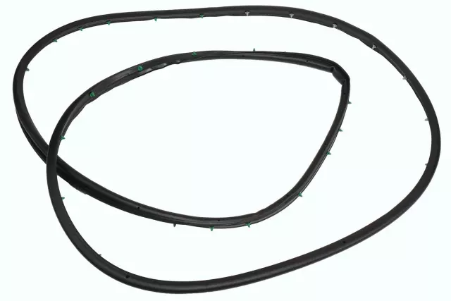 Rear Driver Side Door Weatherstrip