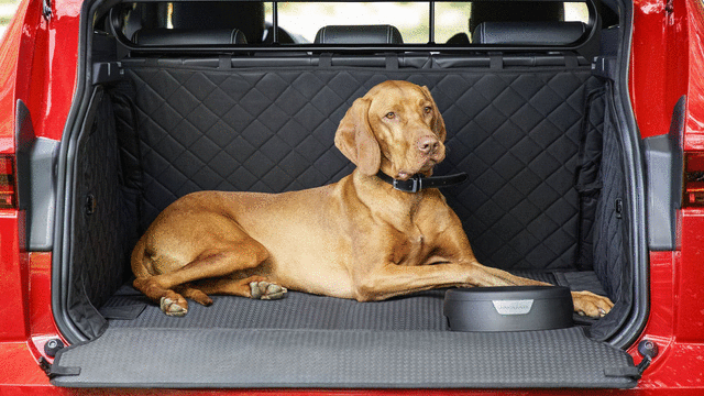 Quilted Loadspace Liner