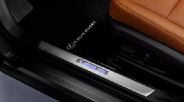 Illuminated Door Sills - Black