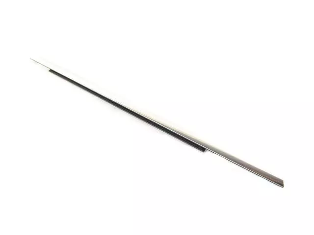 Door Belt Outer Weatherstrip, Left