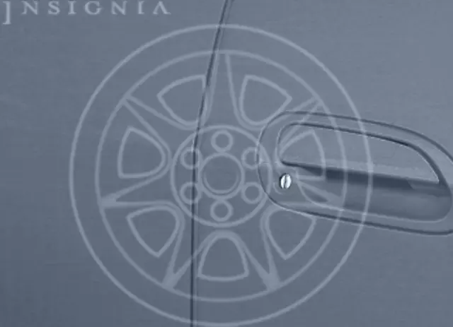 2011 2012 Honda Accord - Door Edge Guards