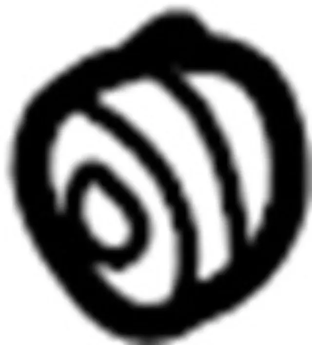 Condenser Mount Cushion