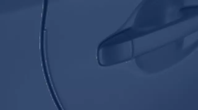 Door Edge Guards, Blue Ribbon Metallic