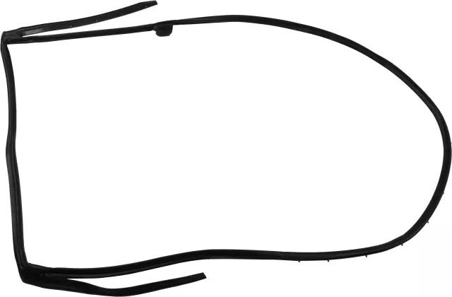 Surround Weather-Strip