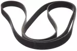 Serpentine Belt