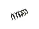 Front Coil Spring, Right