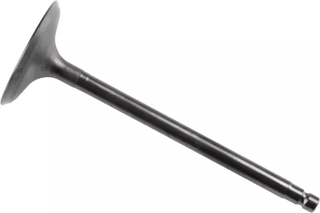 Intake Valve