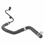 Engine Coolant Overflow Hose