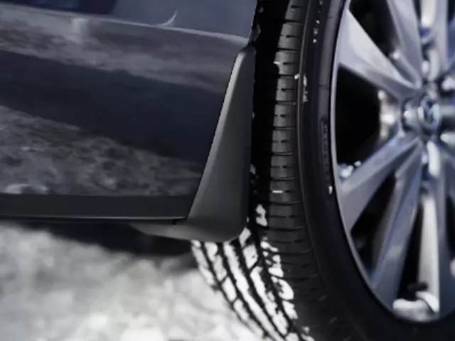 Splash Guards - Rear - Black Plastic