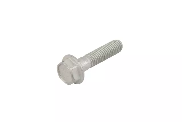 Hinge Bolt