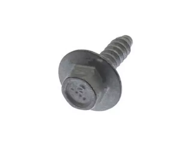 Instrument Panel Screw