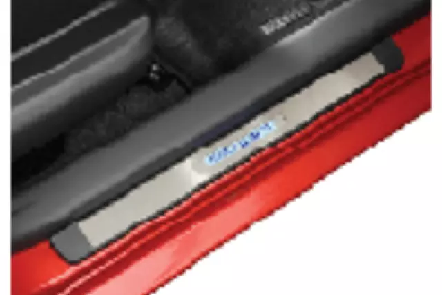 Illuminated Door Sills