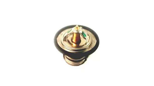 Thermostat Unit