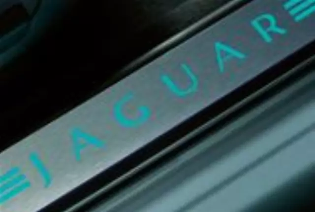 Illuminated Sill Tread Plates, Oyster