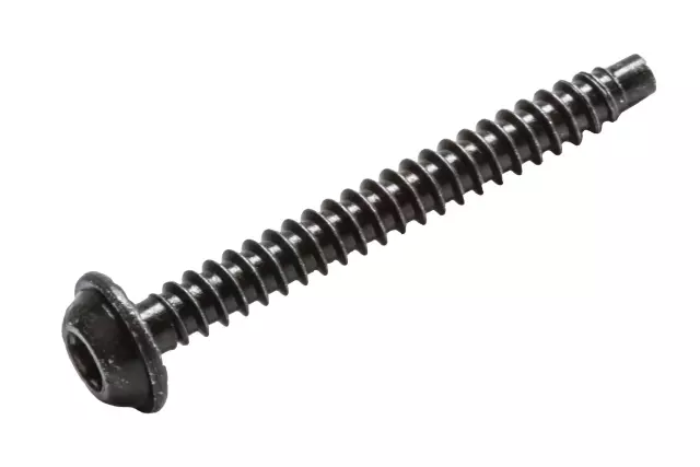 Lamp Bezel Screw