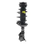 Suspension Strut and Coil Spring Assembly