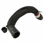 Motorcraft™ Lower Hose