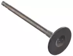 Exhaust Valve