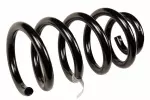 Front Coil Spring