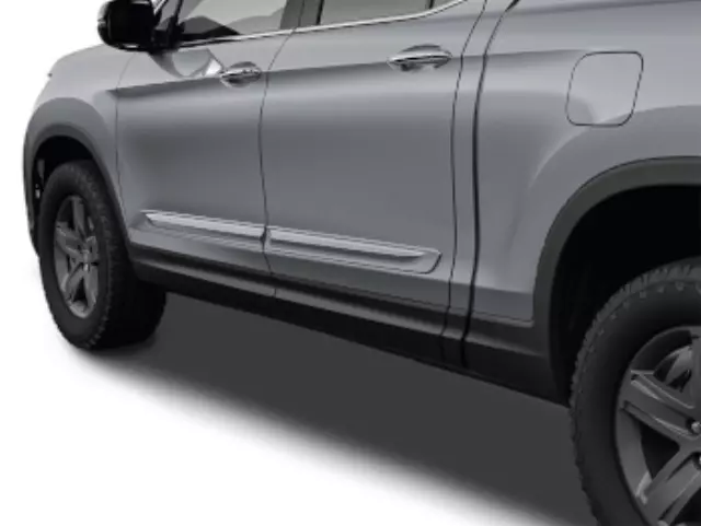 Body Side Molding - Lunar Silver Metallic