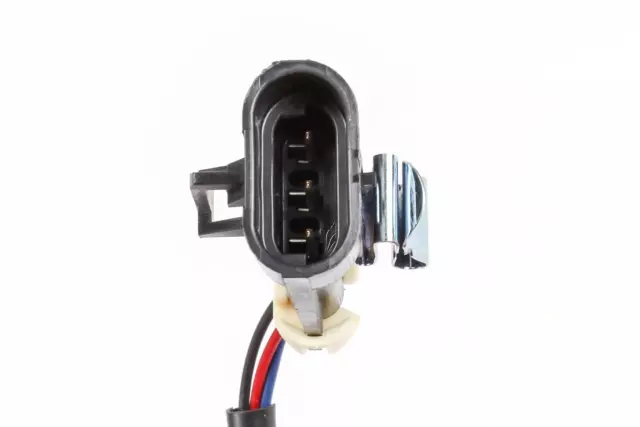 Ebony Passenger Seat Belt with Buckle