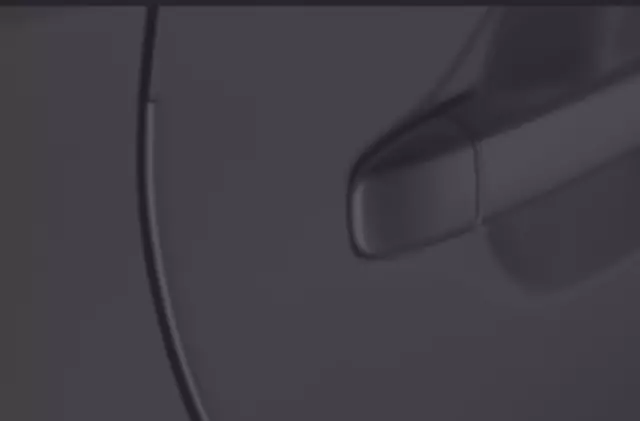 2012-2014 Toyota Camry - Door Edge Guards, Magnetic Gray Metallic