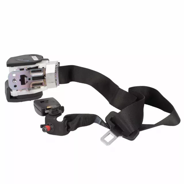 Center Belt Assembly