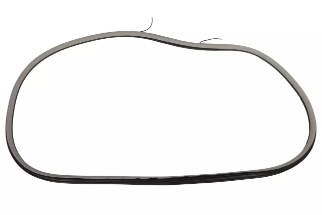 Light Platinum Rear Side Door Weatherstrip