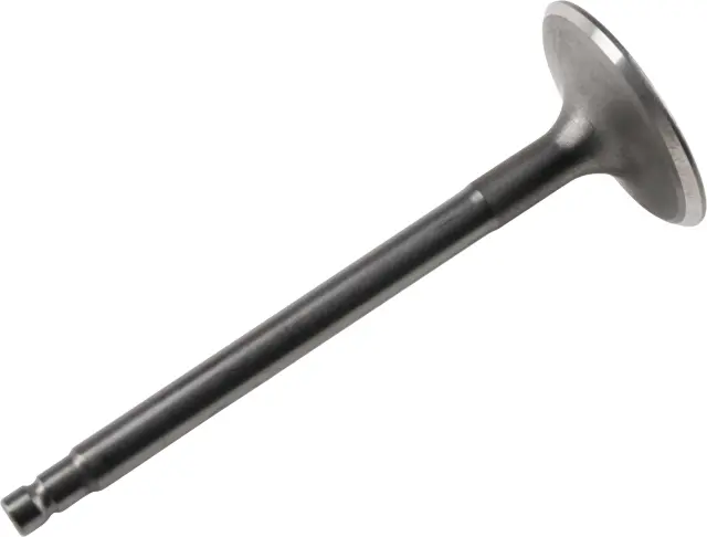 Intake Valve