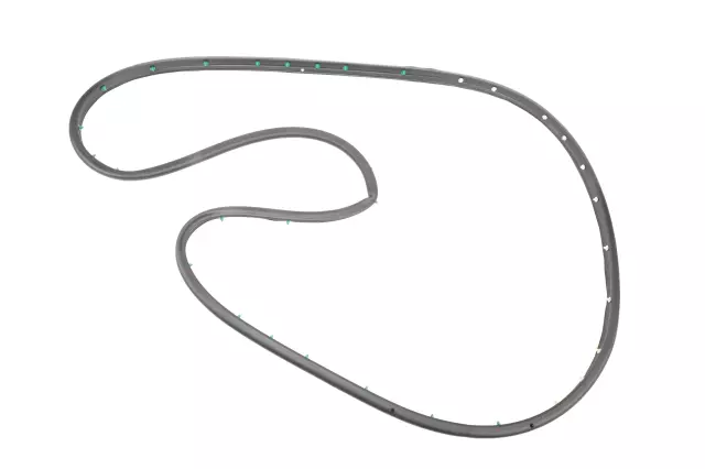 Rear Driver Side Door Weatherstrip