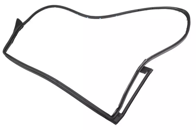 Rear Passenger Side Door Weatherstrip