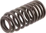 Valve Springs