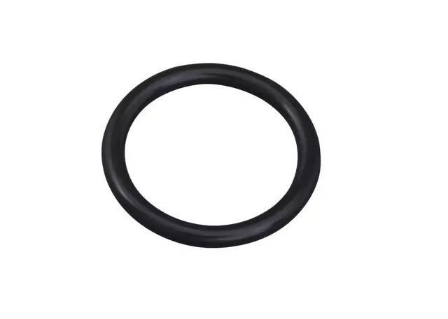 Engine Oil Pump Seal