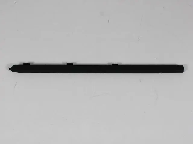 Door Belt Weatherstrip, Left