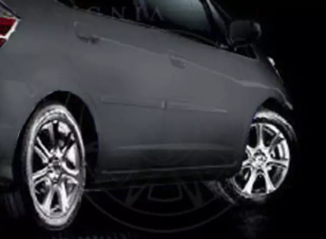 Body Side Molding - Polished Metal Metallic