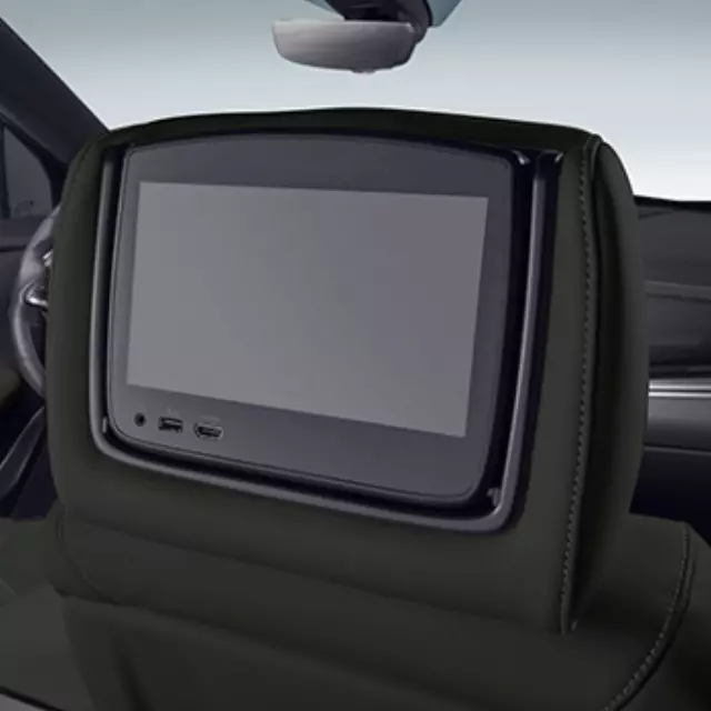 Headrest and Video Screen Assembly