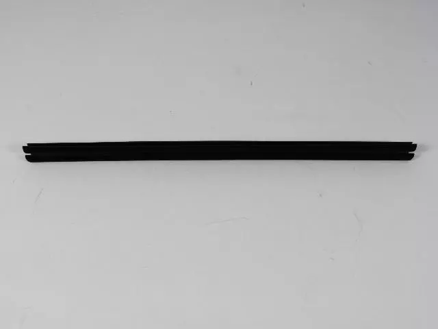 Rear Door Belt Inner Weatherstrip, Right & Left
