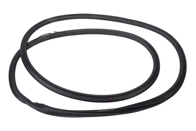 Rear Side Door Weatherstrip