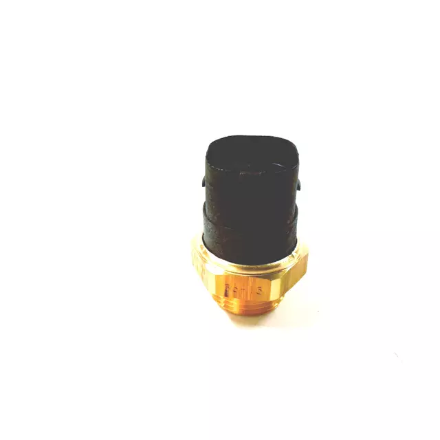 2000-2002 Audi - Thermo Switch