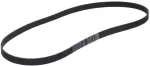 Serpentine Belt