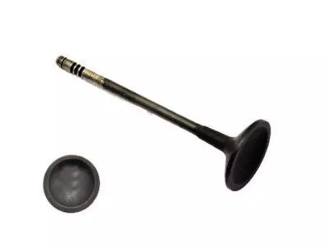 Engine Exhaust Valve